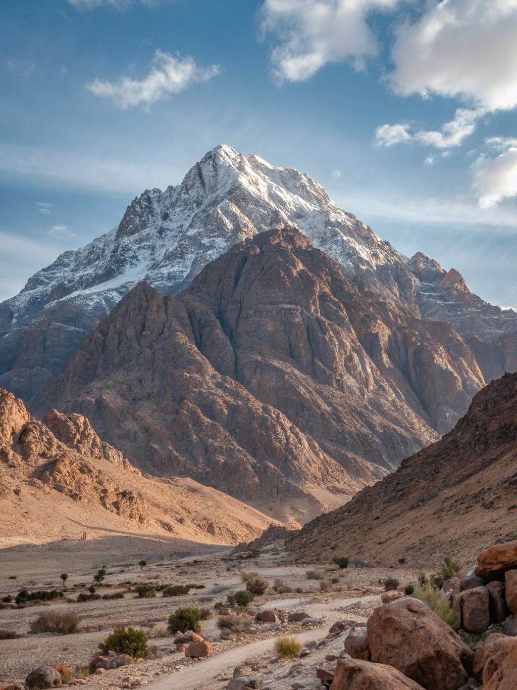 IMG_8692 (1) IMG_8692 (1)